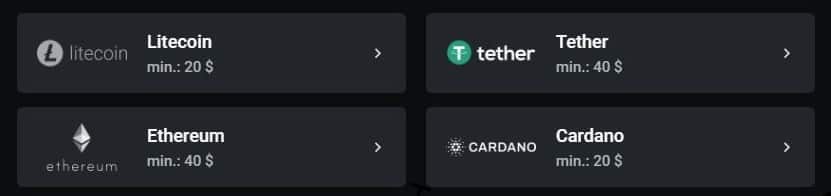 leonbets payment methods 2